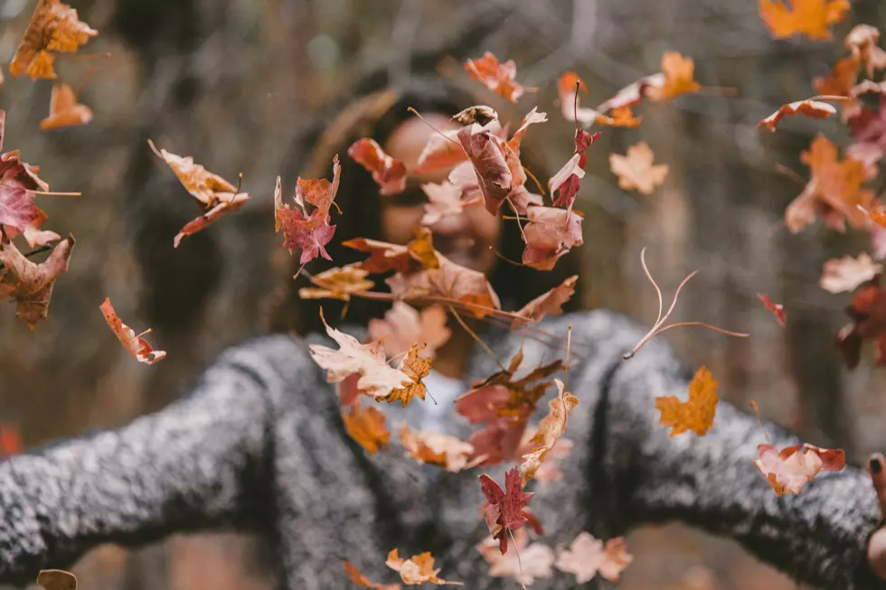 ‘Cool’ Front Ushers in Incredible Week of Weather for Acadiana